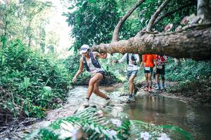 BIB: 
                            <button type="button" onclick="openModal(25441558)" class="btn btn-primary btn-sm float-right btn-popup" data-toggle="modal" data-target=".modal-high-quality">
                        <i class="fas fa-shopping-cart"></i> Add to Cart
                    </button>
                                            <button type="button" onclick="isThisMe(25441558, true)" class="btn btn-success btn-sm float-right btn-popup btn-isme hidden" data-toggle="tooltip" data-placement="bottom" title="นี่คือรูปของคุณใช่ไหม คลิกที่นี่เพื่อเอาเข้าอัลบั้ม">
                        <i class="fas fa-plus"></i> Add to album
                    </button>
                    <button type="button" onclick="isThisMe(25441558, false)" class="btn btn-warning btn-sm float-right btn-popup btn-isnotme hidden">
                        <i class="fas fa-ban"></i> Remove from album
                    </button>